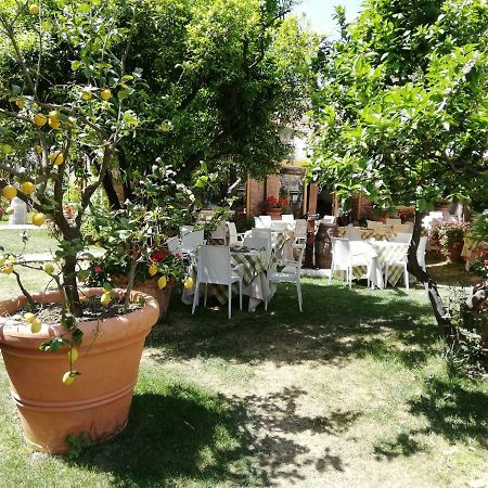 Villa Esmeralda Amantea Esterno foto